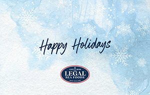 LSF24 Holiday 2